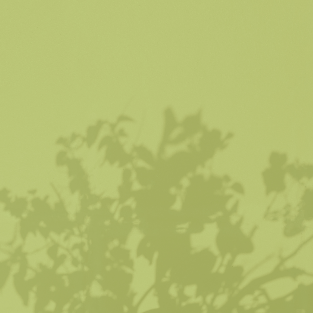 Natural Energy Boosters, Self Care Activities, Self Care Sunday, Self Love Sunday, Sunday Reset, Sunday Relax, What to do on a Sunday at Home, Nature Sunshine, Is Self Care Important, Better Health, Better Green, Stress Relievers, &Better's Products