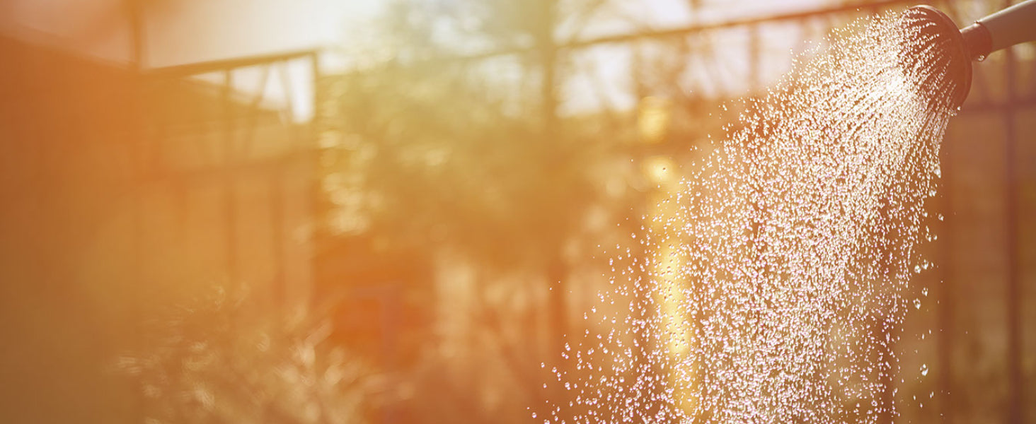 Close-up image of a green bush being watered from a can in a sunny garden with a blue sky and fence in the background. The scene embodies the 'Afternoon in the Garden' scent by &Better, evoking the zesty aroma of ripe tomatoes, lemon, and basil, transporting you to a serene summer herb garden