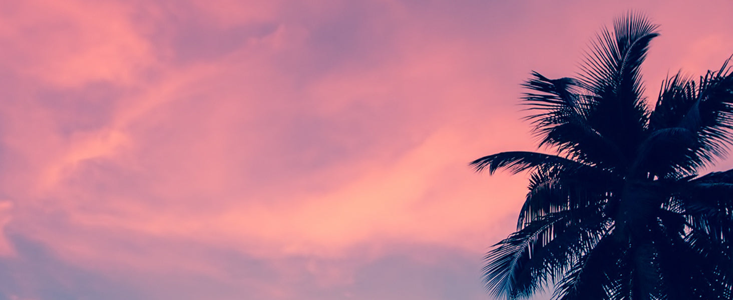 mage of palm trees against a vibrant neon pink and purple sky, representing the Tropical Mist scent by &Better. The image evokes the scent's unique blend of coconut and pineapple, accented with green herbs and cardamom, transporting your senses to a tropical paradise during your personal care routine.