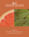 Grapefruit + Mint Leaves